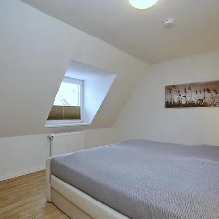 Friedrich-engels-strasse Friedrich-engels-strasse 19 02 Apartment