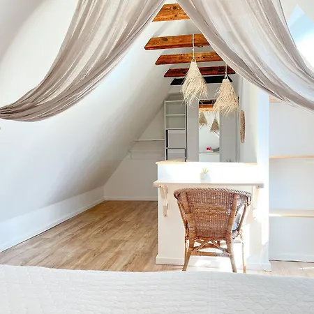 Friedrich-engels-strasse Friedrich-engels-strasse 19 02 Διαμέρισμα